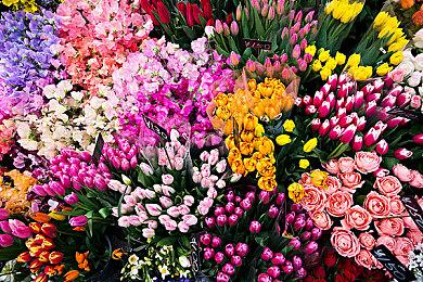 《哥特王朝：重制版》新截图 游戏发售日或将公布